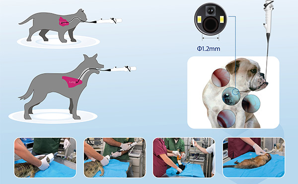 Veterinary Endoscope